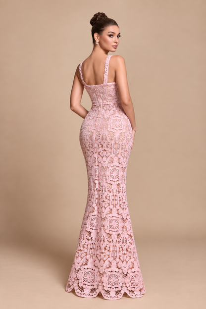 Alessia Blush Lace Corset Maxi Dress