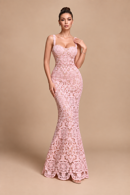 Alessia Blush Lace Corset Maxi Dress